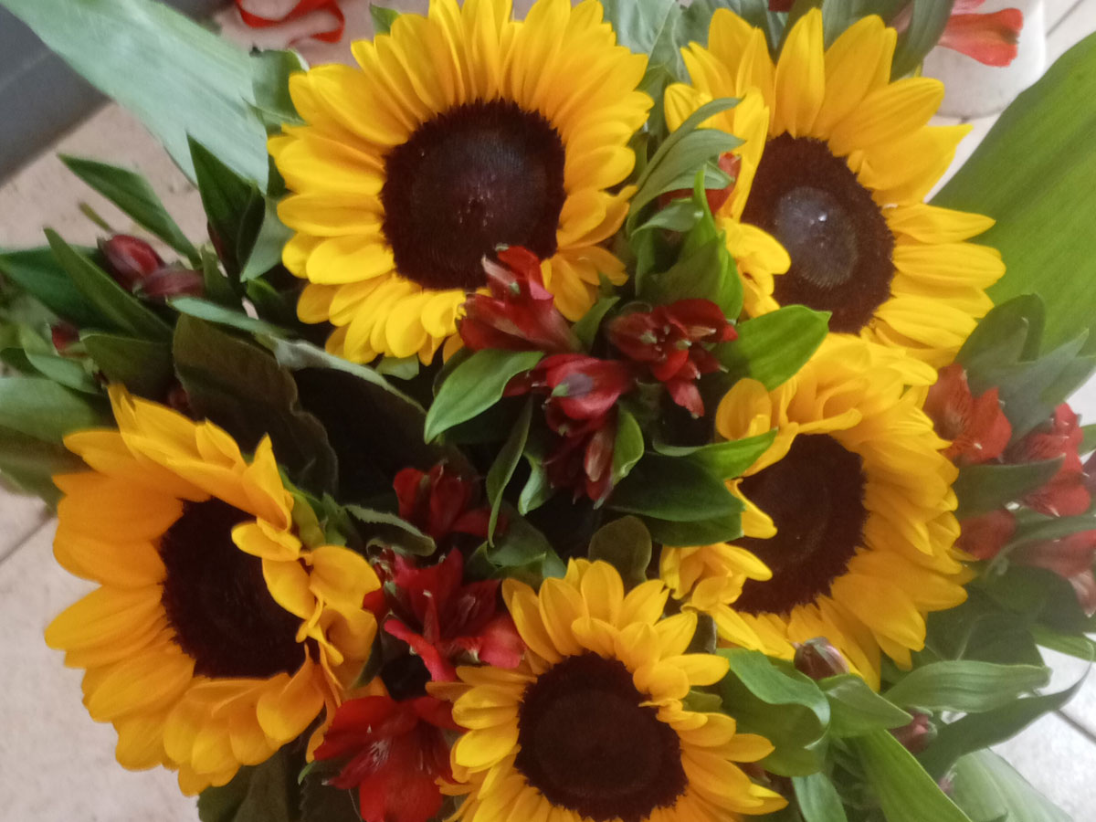 Seasonal Arrangement